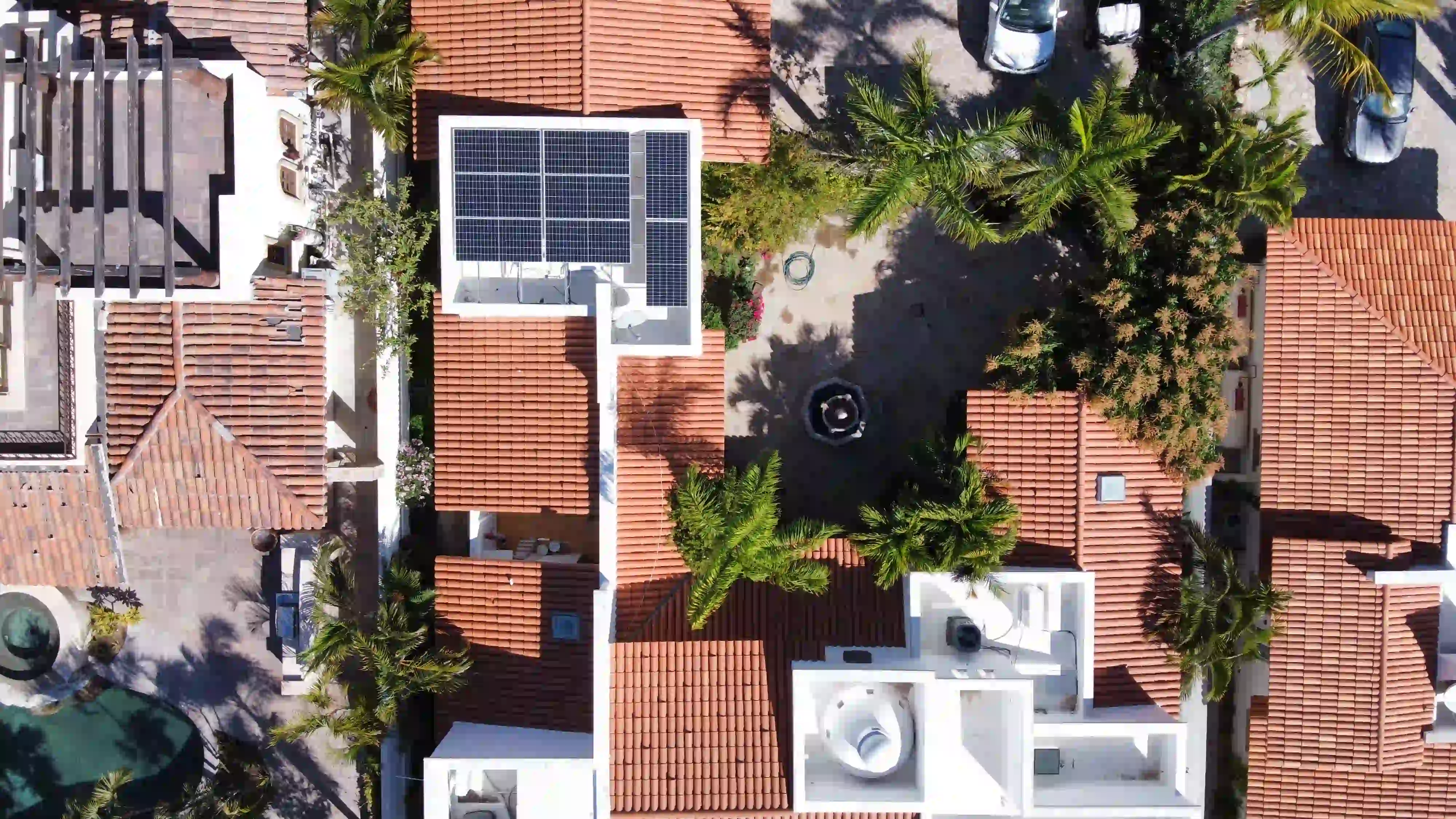 Palmilla - Galería del proyecto 14